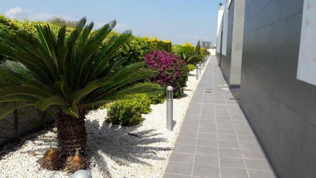 Oliva Nova - Golf&Beach Cabagua Buitenkant foto