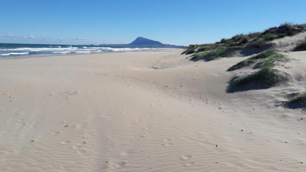 Oliva Nova - Golf&Beach Cabagua Buitenkant foto
